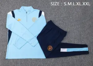 2324 half-Raman City light blue (gold mark)