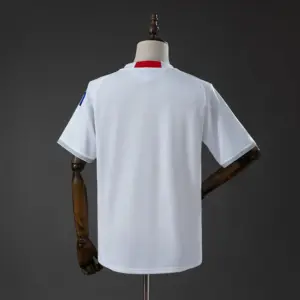 Japan 2010 Away Retro Jersey