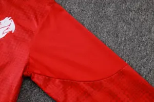 AC Milan Adult Tracksuits - Style 03