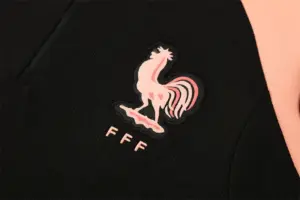 France Adult Tracksuits (Player Version) - Style 01
