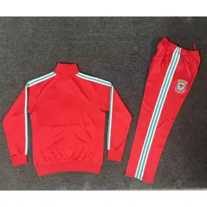 Wales Jacket Training Adult Suit - Style 01