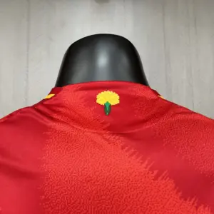 Player Edition 2024-25 Spain Home