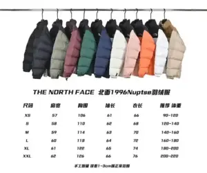1996 North Face Down Jacket