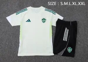 2526 short sleeve Ahli light green