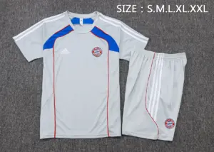 2526 short-sleeved Bayern gray retro version (color blue color)-Bayern M