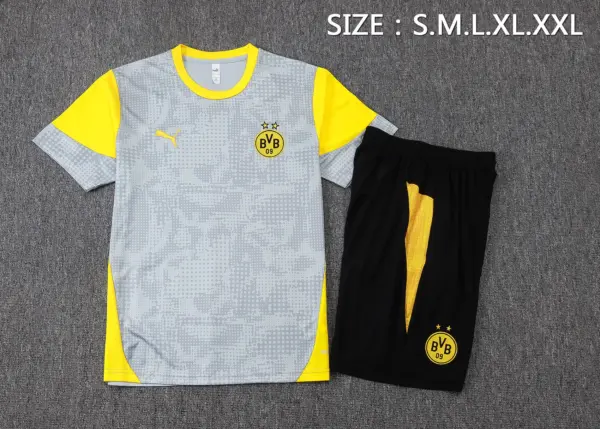 2526 short-sleeved Dortmund light gray inkjet-Dortmund