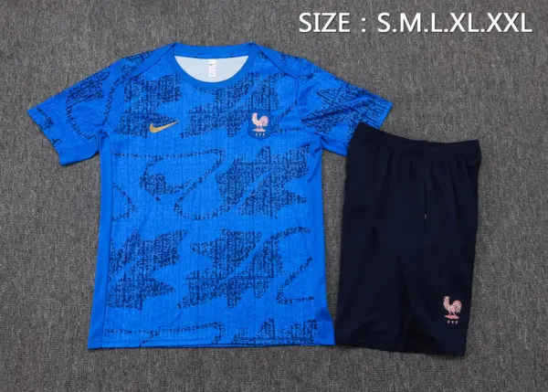 2526 short-sleeved French orchid-France